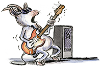 Image is not available